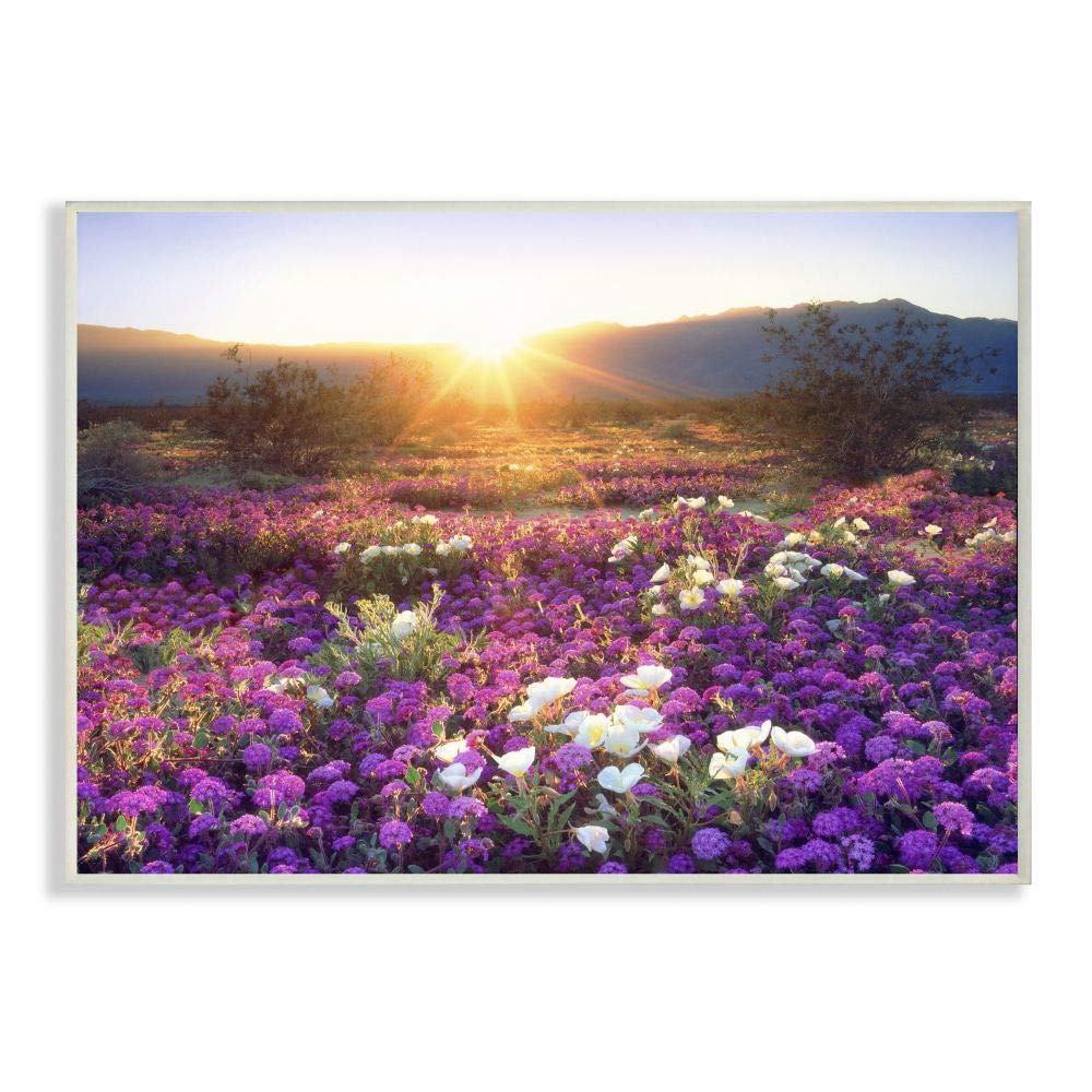 Stupell Industries Dune Wildflowers at Sunset Wall Plaque, 10 x 15, Multi-Color