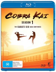 cobra kai - season 1