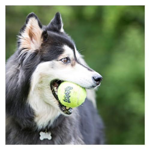 KONG Air Dog Squeaker Tennis Ball X-Large - 1 Pack - Pack of 4