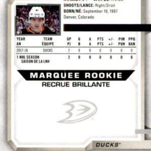 2018-19 O-Pee-Chee Platinum #196 Troy Terry RC Rookie Anaheim Ducks NHL Hockey Trading Card