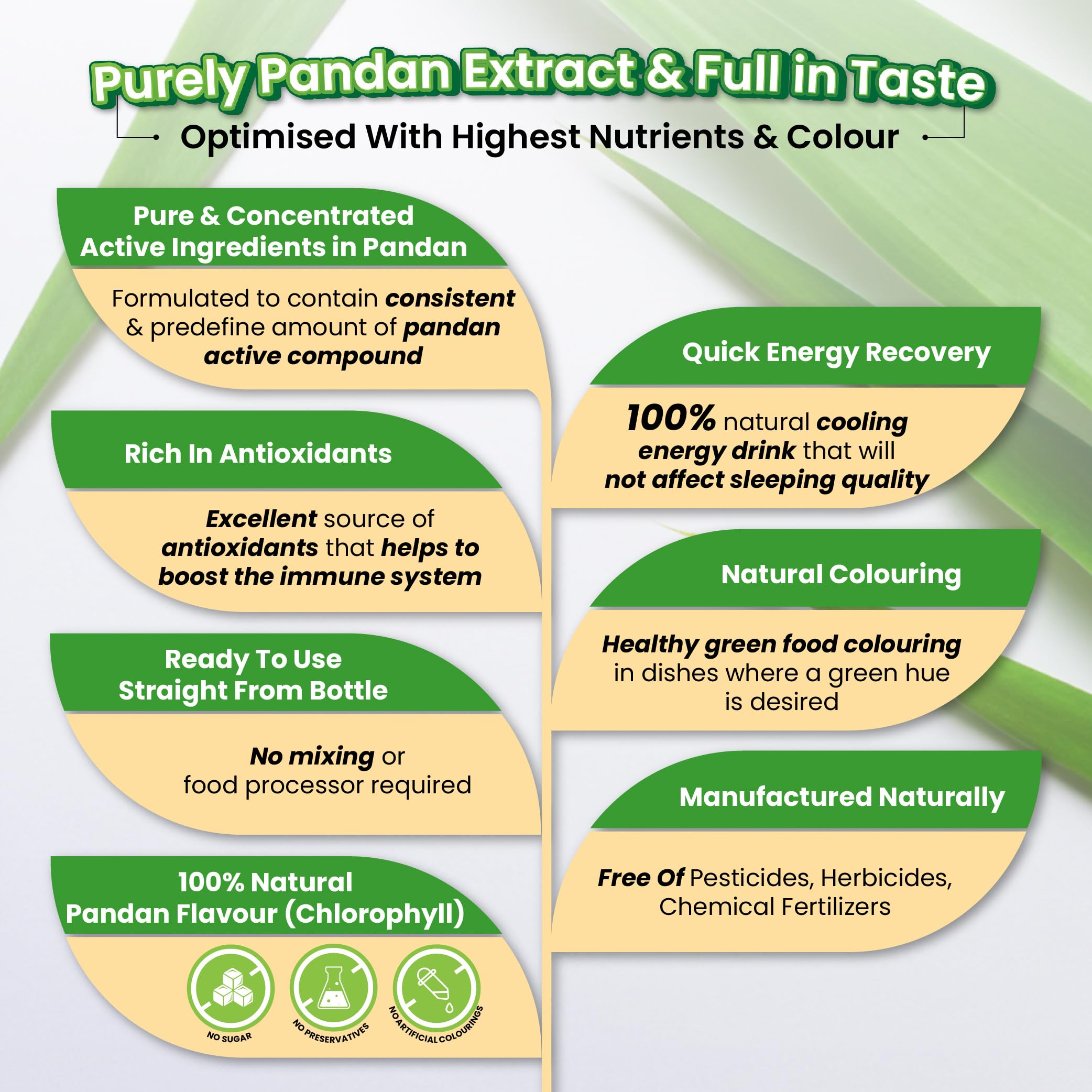 2 Bottles Natural Color Chlorophyll of Pandan Leaf Extract Concentrate for Bakery & Beverage (1000g),Vanilla of The East, Fresh Natural Asian Gourmet Baking Ingredient, Natural Flavor,