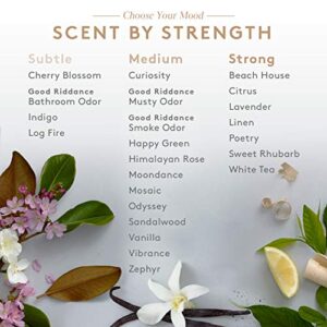 Aera Linen Home Fragrance Scent Refill - Notes of Bright Citrus and Juniper Berries - Works with The Aera Diffuser