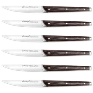 Emojoy Steak Knife Set, 6pcs Steak Knives Set, High Carbon German Stainless Steel, Non-serrated, Dinner Knifes with Gift Box