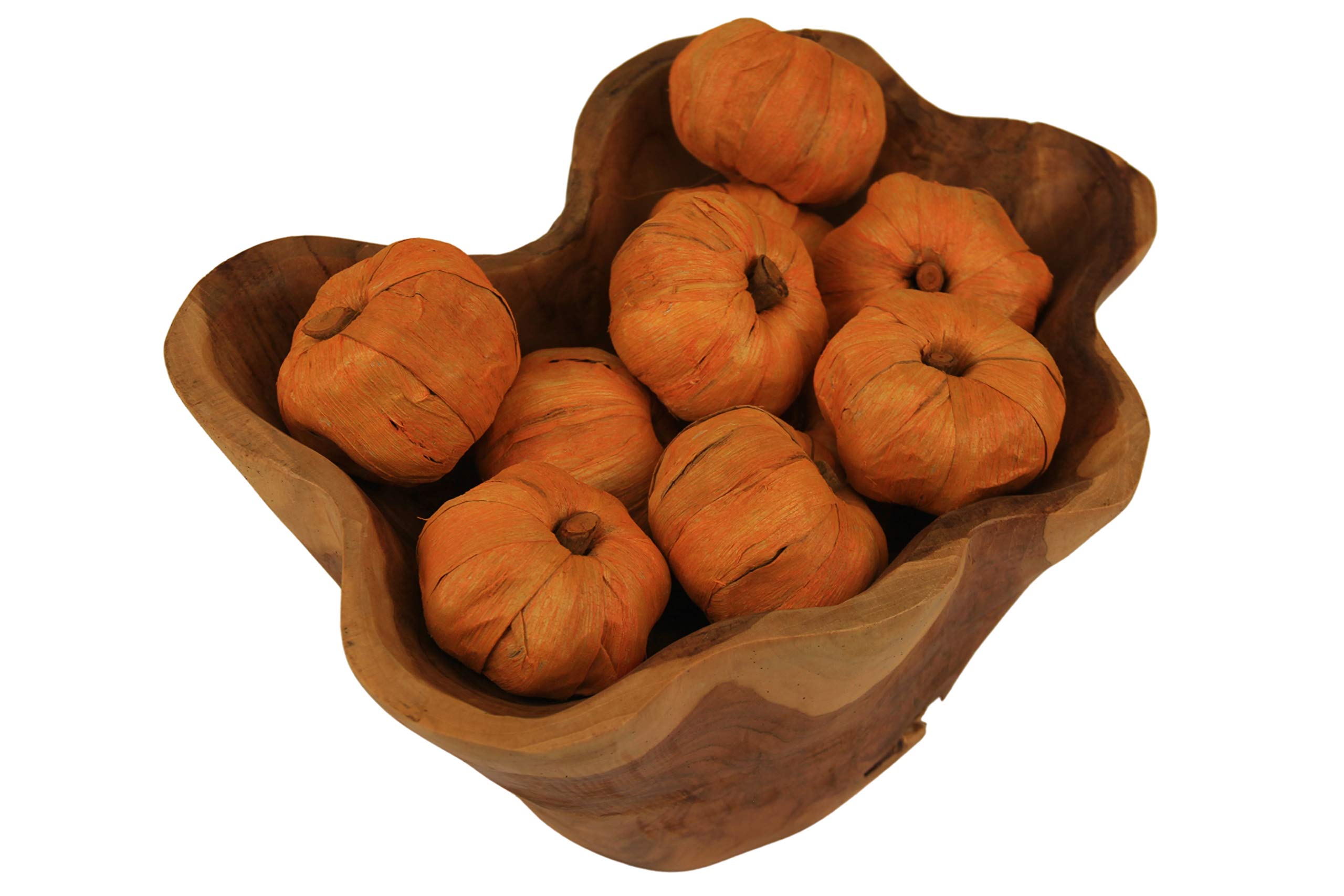 Natural Vase Fillers Mini Pumpkins for Decorating & Crafts | Miniature Pumpkins Home Decor (Mini Pumpkins)