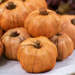 Natural Vase Fillers Mini Pumpkins for Decorating & Crafts | Miniature Pumpkins Home Decor (Mini Pumpkins)