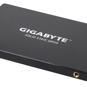 GIGABYTE SSD 1TBB NAND Flash SATA III 2.5" Internal Solid State Drive (GP-GSTFS31100TNTD)