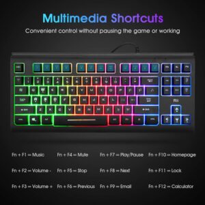 Rii Gaming Keyboard,87-Keys RGB Backlit Compact Keyboard,Silent Computer Keyboard,Wired Tenkeyless Keyboard for Laptop,PC,Windows,Mac