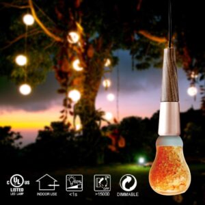 Himalayan Glow Salt Light Bulbs 60-Watt Equivalent, Warm Amber Glow, 7 watts, 2 Count (Pack of 1)