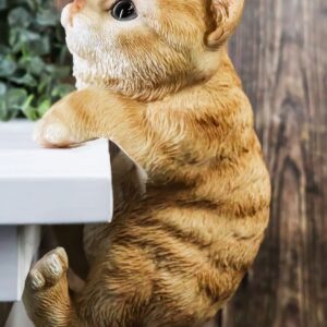 Ebros Lifelike Pot Pal Hanging Orange Tabby Cat Statue 8" Tall with Glass Eyes Hand Painted Realistic Feline Cat Decor Figurine Cats Kittens Kitties Animal Pet Sculpture Garden Patio Decorative