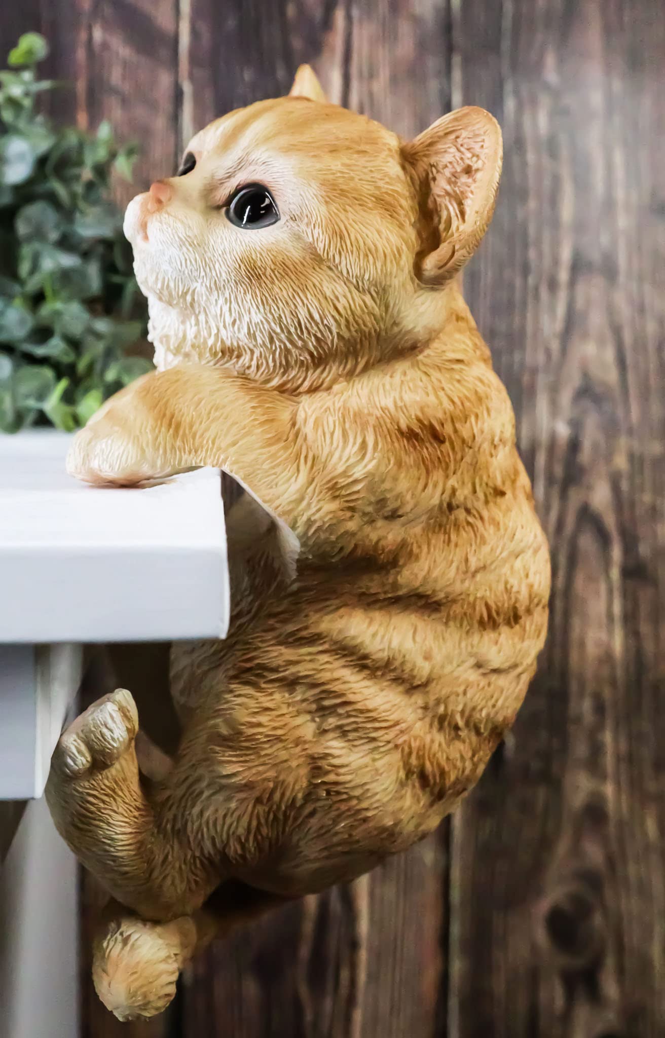 Ebros Lifelike Pot Pal Hanging Orange Tabby Cat Statue 8" Tall with Glass Eyes Hand Painted Realistic Feline Cat Decor Figurine Cats Kittens Kitties Animal Pet Sculpture Garden Patio Decorative