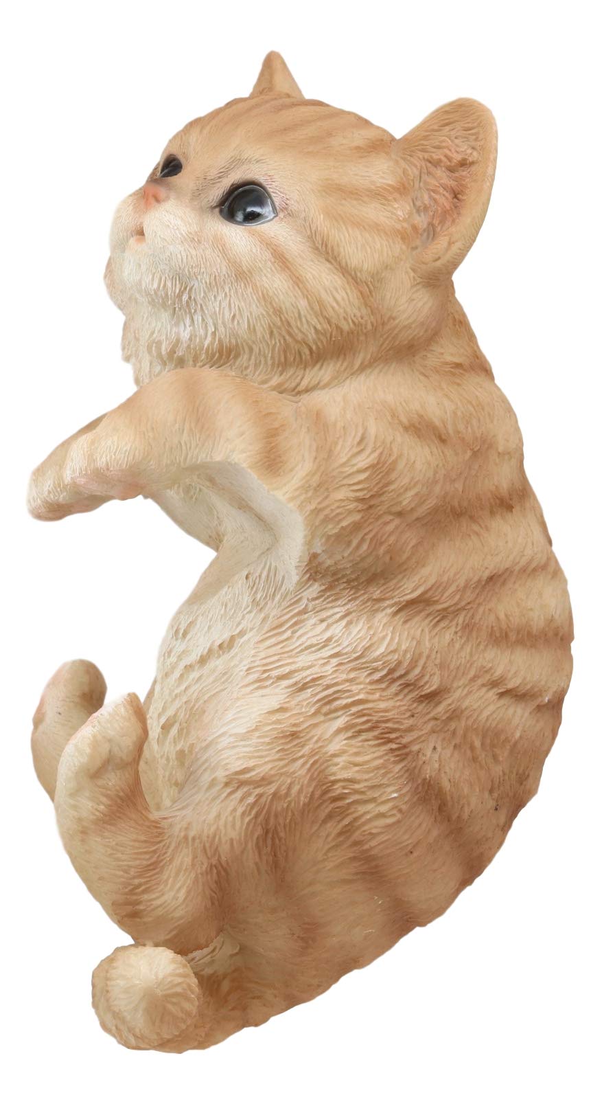 Ebros Lifelike Pot Pal Hanging Orange Tabby Cat Statue 8" Tall with Glass Eyes Hand Painted Realistic Feline Cat Decor Figurine Cats Kittens Kitties Animal Pet Sculpture Garden Patio Decorative