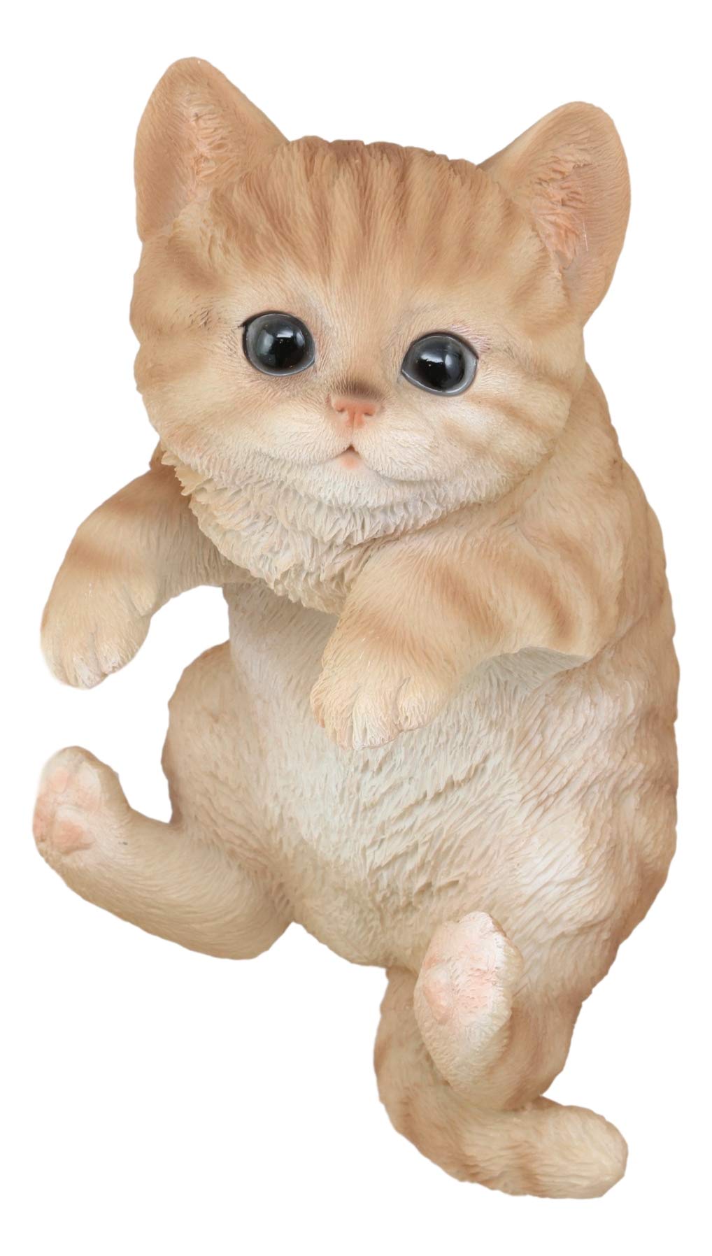 Ebros Lifelike Pot Pal Hanging Orange Tabby Cat Statue 8" Tall with Glass Eyes Hand Painted Realistic Feline Cat Decor Figurine Cats Kittens Kitties Animal Pet Sculpture Garden Patio Decorative