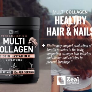 Premium Multi Collagen Peptides Protein Powder (1, 2, 3, 5 & 10) with Vitamin C, Biotin, Hyaluronic Acid, for Hair Skin and Nails - Marine, Bovine, Chicken & Eggshell (Unflavored, 45 Servings)