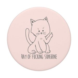 Salty Cat Ray Fucking Sunshine Flipping Off Cute Animal Adul PopSockets PopGrip: Swappable Grip for Phones & Tablets