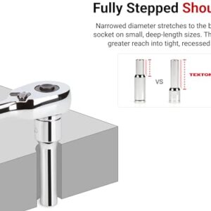 TEKTON 1/2 Inch Drive x 11 mm Deep 12-Point Socket | SHD23311