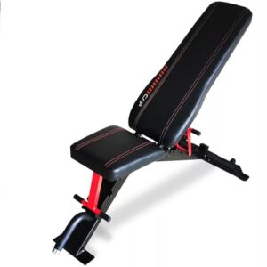 CAP Barbell Strength FID Workout Bench | Flat Incline Decline Positions, Black/Red