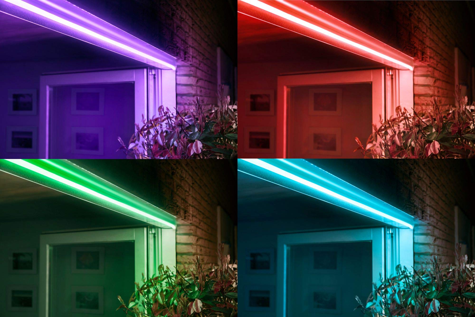 YXHL DC12V Neon Led RGB Rope Light, Flexible/Waterproof/Multi-Color/Remote Control for Home/Garden/Architectural Decoration (10 FT / 3 Meters, RGB)