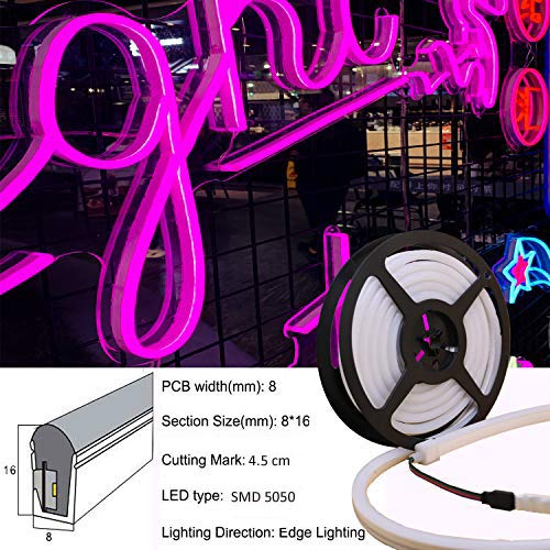 YXHL DC12V Neon Led RGB Rope Light, Flexible/Waterproof/Multi-Color/Remote Control for Home/Garden/Architectural Decoration (10 FT / 3 Meters, RGB)