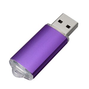 10PCS 2.0/3.0 USB Flash Drive Pen Drive Memory Stick Thumb Stick Pen Black (2.0/1GB, Purple)