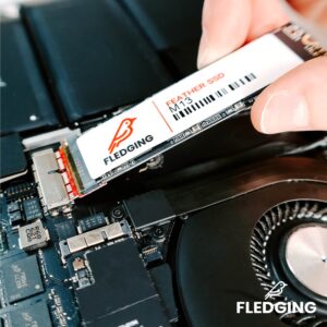 Fledging 256GB Feather M13-S PCIe NVMe Gen 3.0x4 SSD Upgrade – DIY kit & OS Included – Compatible with Apple MacBook Air (2013-2015) & Pro (2013-2016), Mac Mini (2013) & Pro (2014), iMac (2013-2019)