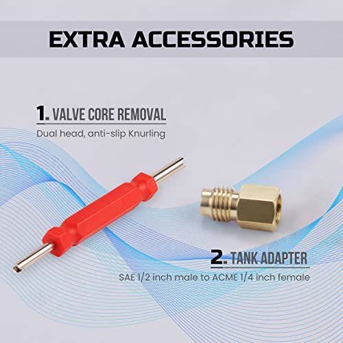 Lichamp A/C R134A Adapters with Puncture 134A Can Tap, AC 134 Quick Coupler Hose Connector Fitting Kit with Tank Adapter and Valve Core Remover, QA02