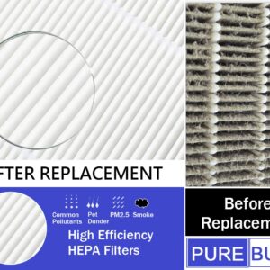 PUREBURG FP-A60U Replacement True HEPA Filter Compatible with Sharp FZ-A60HFU fits Sharp Plasmacluster FP-A60UW FP-A60U Air Purifier,H13 Air Clean Dust,1-Pack