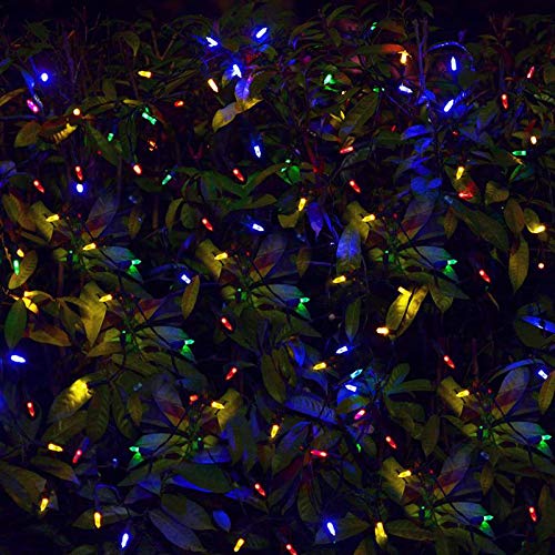 36ft 100 LED Fairy Lala Bubble Solar String Lights Waterproof 8 Working Modes Decoration lighting for Outdoor Patio Lawn Garland Landscape Fairy Garden Home Wedding Holid (1 Pack, 100LED Lara Bulbble)