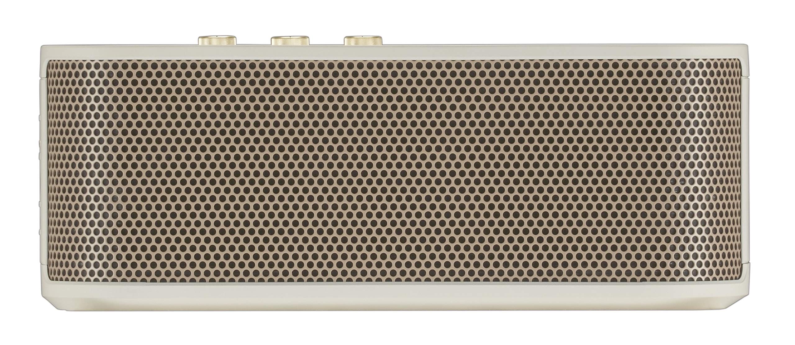 Roland BTM-1 Bluetooth Speaker with Guitar Input