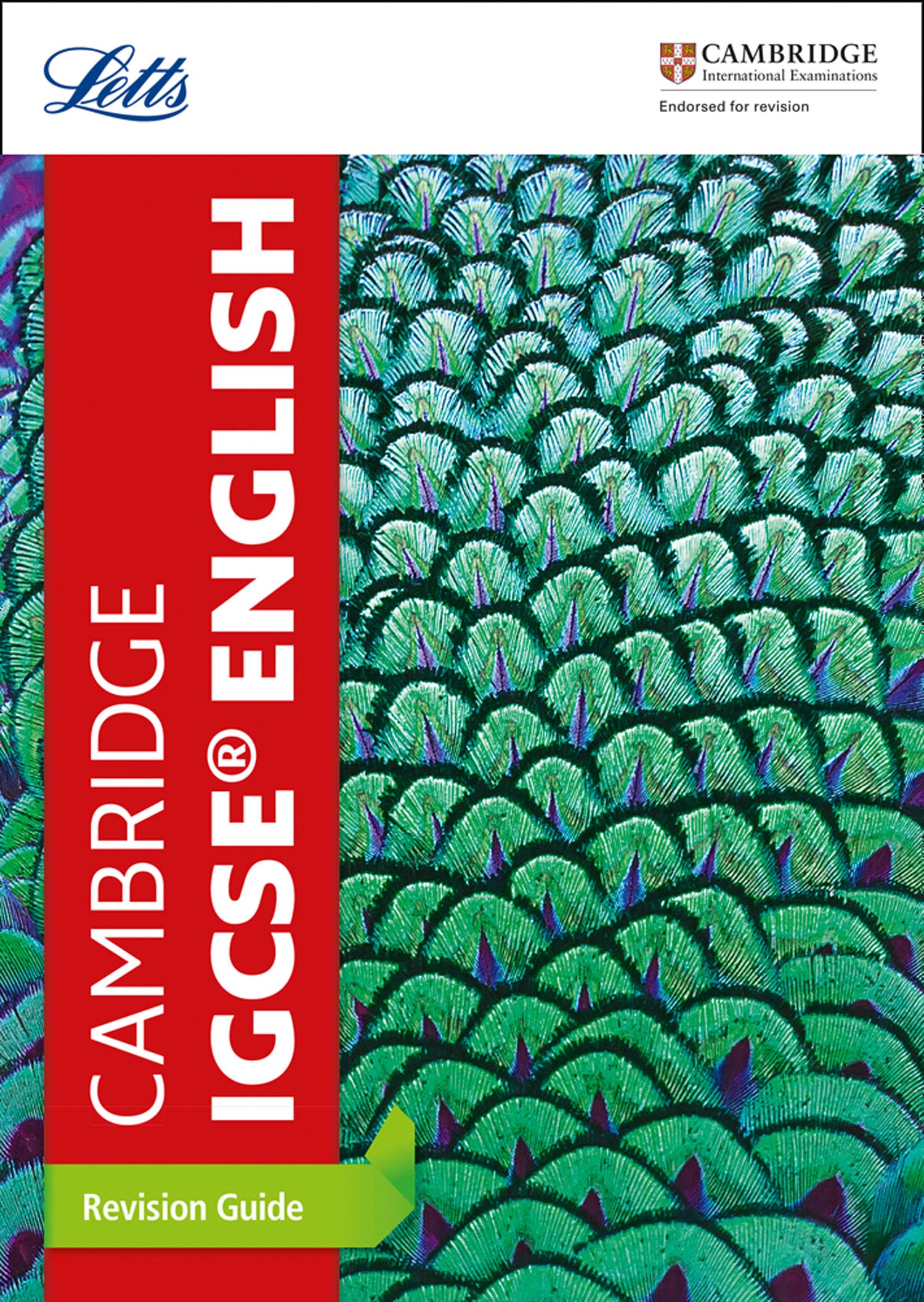 Cambridge IGCSE™ English Revision Guide (Letts Cambridge IGCSE™ Revision)