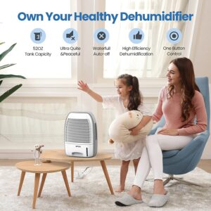 Afloia Dehumidifier for Home 52oz(1500ml) Capacity Ultra Quiet for 2200 Cubic Feet (250 sq ft) Portable Dehumidifiers for Bathroom, Bedroom, Dorm Room, Baby Room, RV