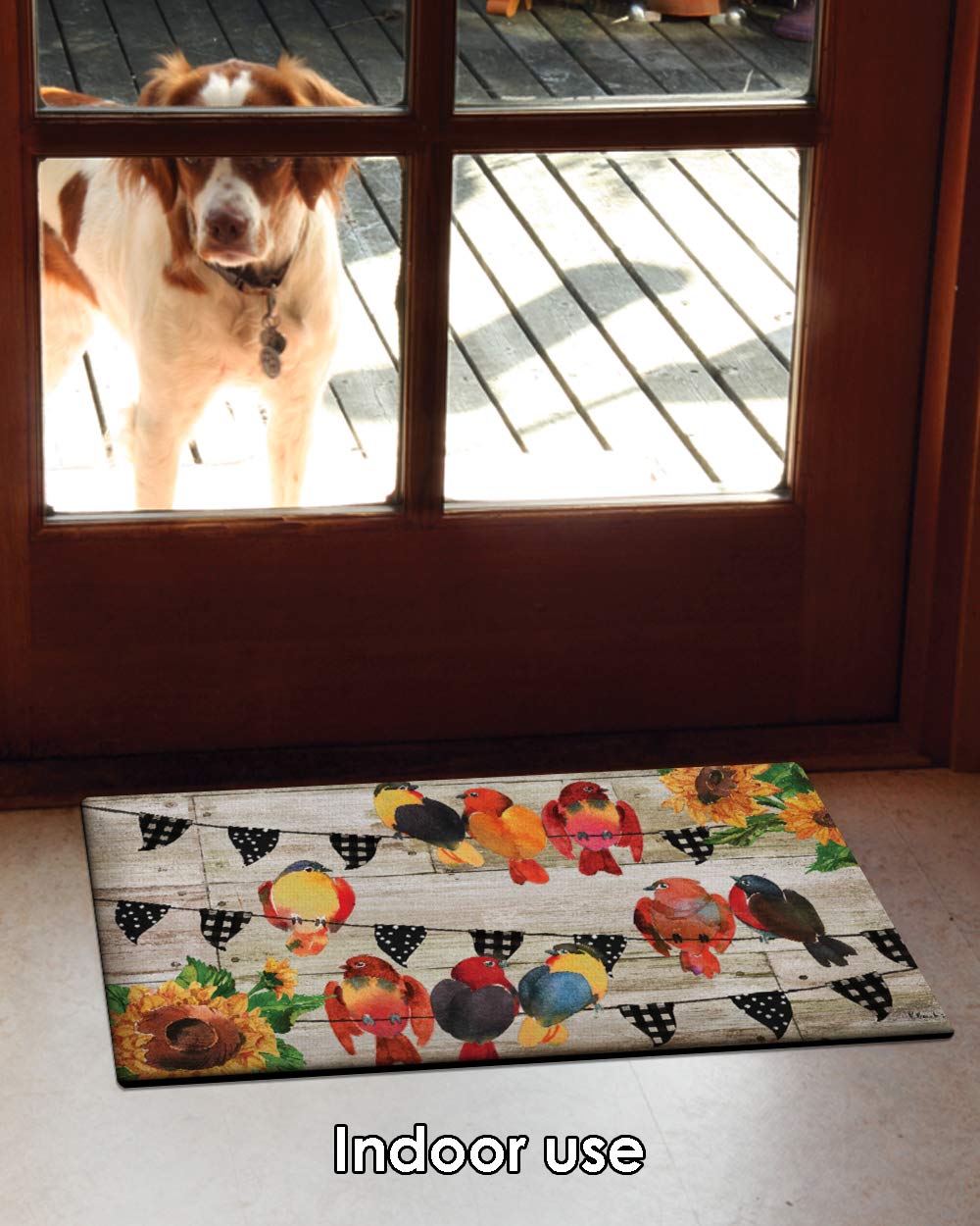 Toland Home Garden 800486 Farmhouse Birds Fall Door Mat 18x30 Inch Summer Outdoor Doormat for Entryway Indoor Entrance