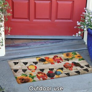 Toland Home Garden 800486 Farmhouse Birds Fall Door Mat 18x30 Inch Summer Outdoor Doormat for Entryway Indoor Entrance