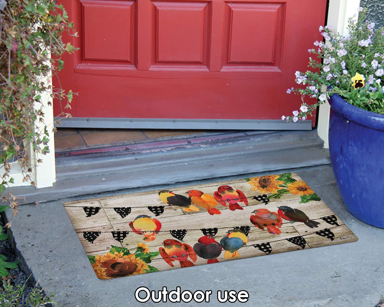 Toland Home Garden 800486 Farmhouse Birds Fall Door Mat 18x30 Inch Summer Outdoor Doormat for Entryway Indoor Entrance