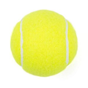 Tebery 20 Pack Green Advanced Training Tennis Balls Beginner Practice Ball, Pet Dog Playing Balls, Come with Mesh Bag for Easy Transport (Green)