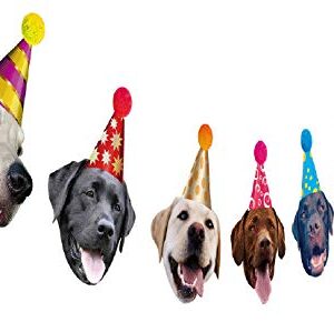 Dogs Birthday Garland, Funny Labrador Face Portrait Birthday Banner, Dog Bday Bunting Decoration