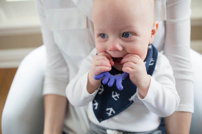 Dr. Brown's Flexees Friends Silicone Teether, Purple Octopus