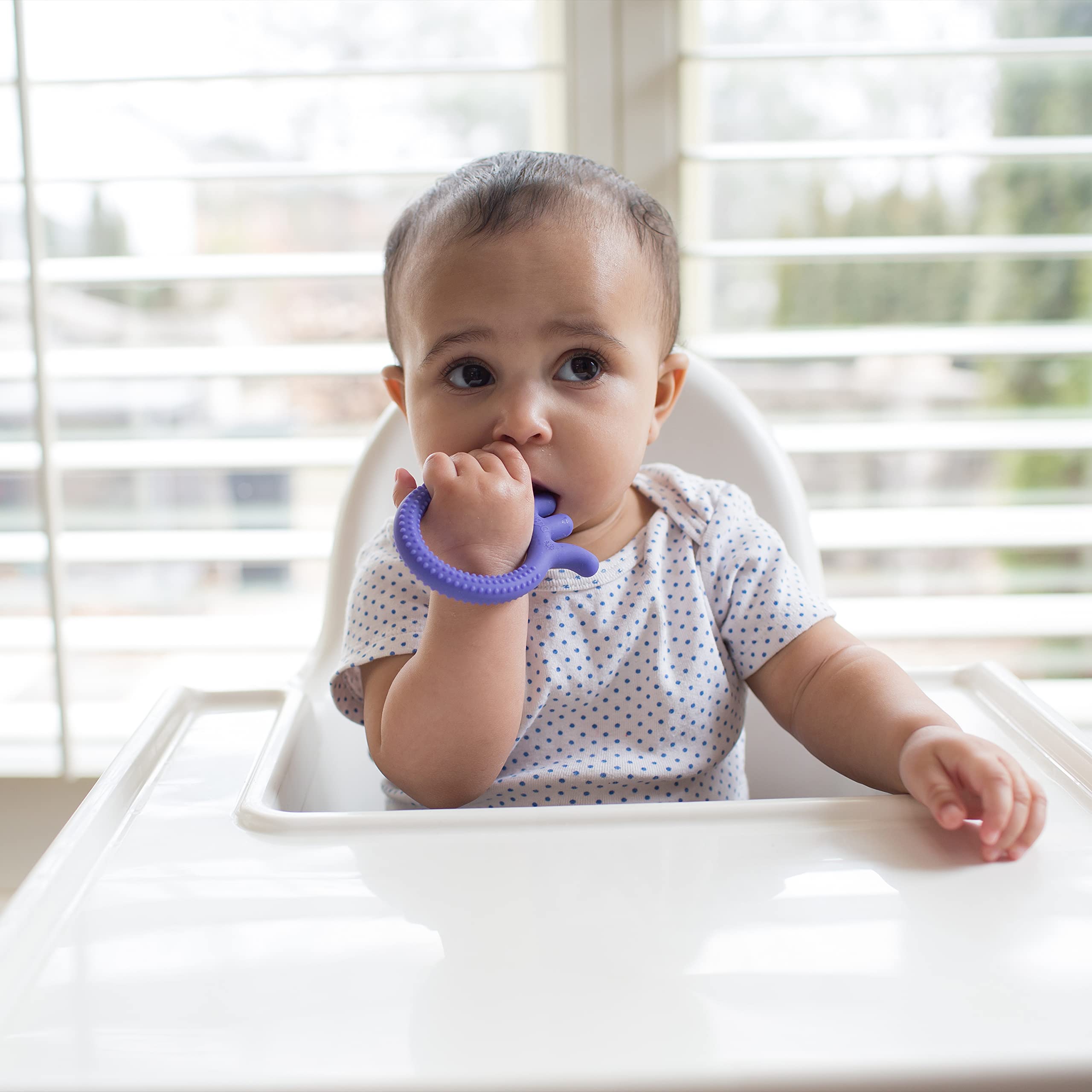 Dr. Brown's Flexees Friends Silicone Teether, Purple Octopus