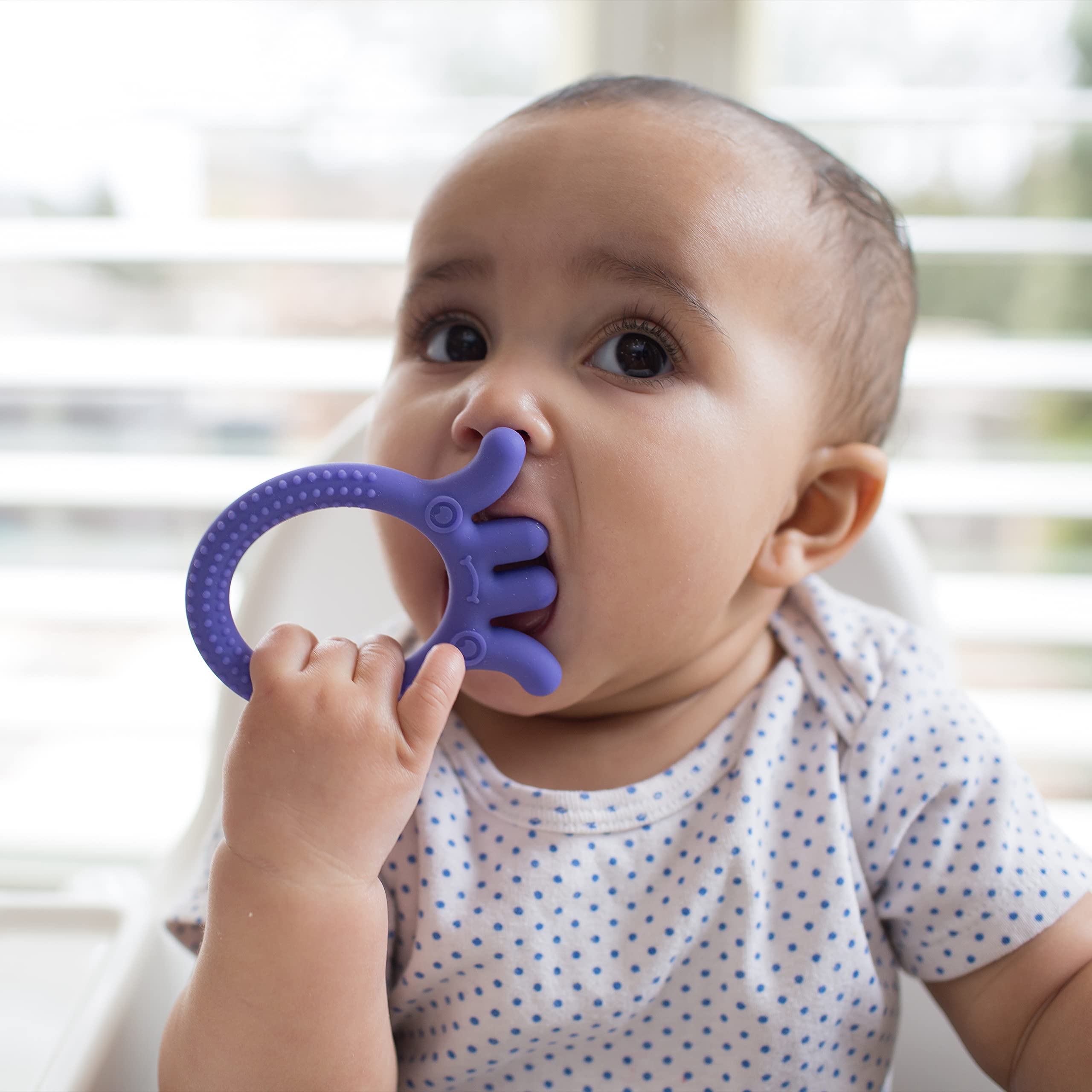 Dr. Brown's Flexees Friends Silicone Teether, Purple Octopus