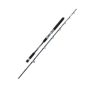 EatMyTackle Big Daddy Jigging Rod | Saltwater Fishing Rod (30-50lb Moderate/Heavy Action, 2pc)