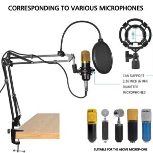 Microphone Stand for Blue Yeti, Quadcast Boom Arm Scissor Mic Stand with Windscreen and Double layered screen Pop Filter Heavy Duty Mic Boom Scissor Arm Stands, Broadcasting and Recording.Game