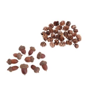 chiwanji 40 Pcs Mini Pine Cones Acorns Dried Flowers Christmas Accents Decor Ornaments