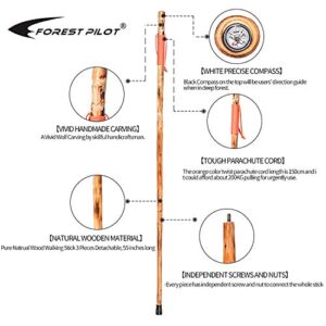 FOREST PILOT 3 Pieces Detachable Fir Wood Walking Stick Wolf Carving with a Compass(Nature Color, 55 Inches, 1 Piece)…