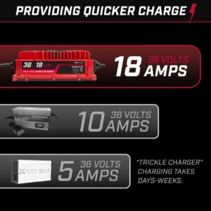 FORM 36 Volt Golf Cart Battery Charger for EZGO TXT with D-Style Plug - 36V 18AMP Lead Acid