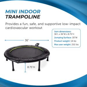 Stamina Fitness Trampoline - Exercise Trampoline with Smart Workout App - Indoor Trampoline Fitness Rebounder