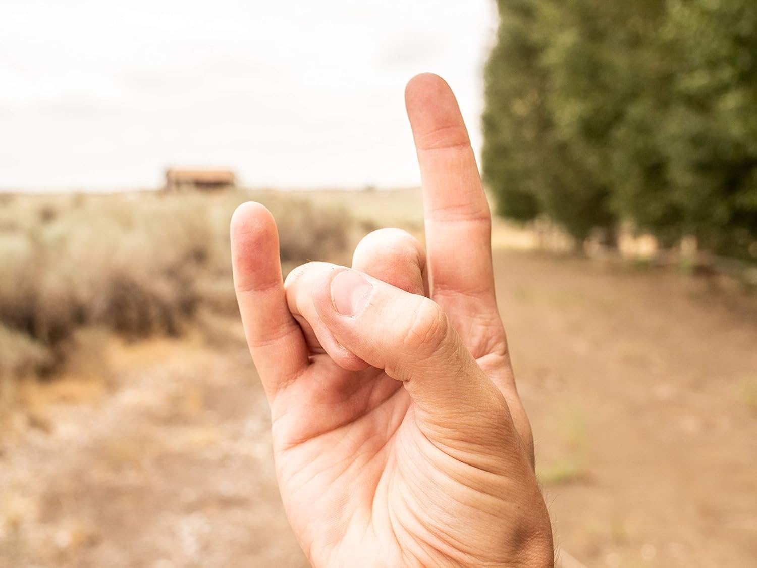 Finger Guns at High Noon