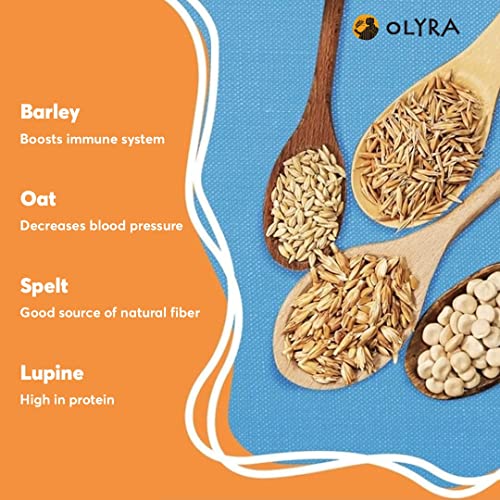 Olyra Breakfast Biscuits Cinnamon Tahini | Kids Healthy Snacks | Low Sugar, High Fiber, Plant-Based Protein | Breakfast Cookies 4 Count (Pack of 1)