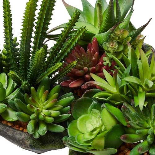 Pure Garden Artificial Succulent Plants - 3-Piece Arrangement Set in Faux Stone Pots and Assorted Sizes - Lifelike Greenery for Home Decoration