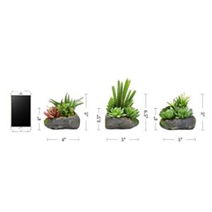 Pure Garden Artificial Succulent Plants - 3-Piece Arrangement Set in Faux Stone Pots and Assorted Sizes - Lifelike Greenery for Home Decoration