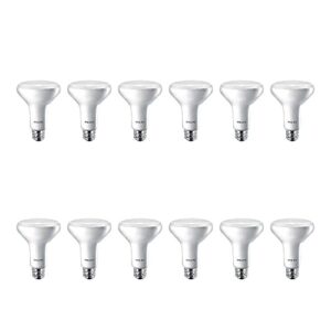 Philips LED Flicker-Free Frosted Dimmable BR30 Light Bulb - EyeComfort Technology - 650 Lumen - Daylight (5000K) - 9W=65W - E26 Base - Basic LED Old Version - Indoor - 12-Pack