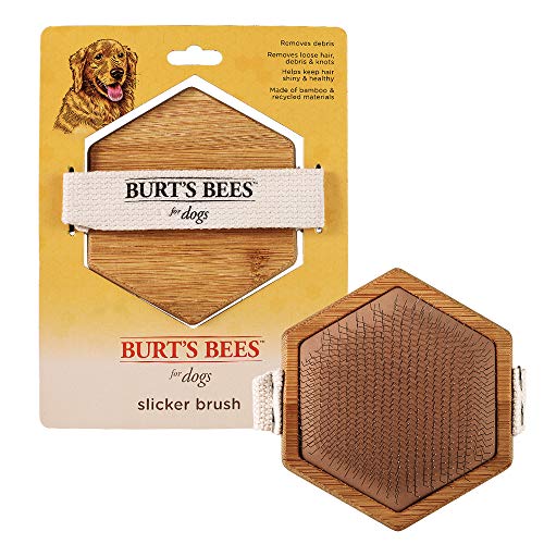 Burt's Bees for Pets Palm Slicker Brush, Recycled Bamboo Dog Brushes, Dog Brush, Dog Hair Brush, Burts Bees Pet Bush, Puppy Brush, Pet Hair Brush, Pet Comb, Dog Grooming Tools, Grooming Brush